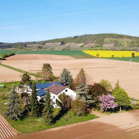 Ferienwohnungen Rosenhof Karlstadt Extérieur photo